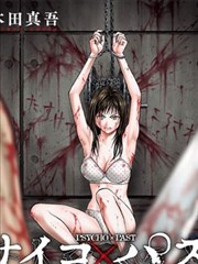 《第七封印档案》封面索引图